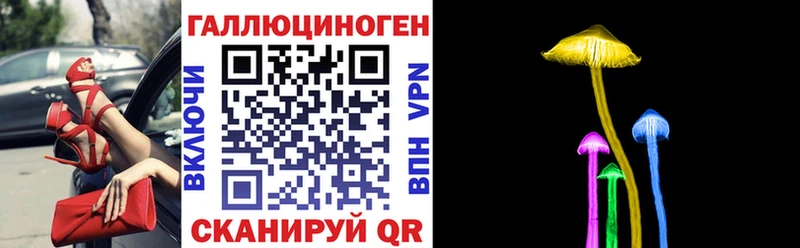 Галлюциногенные грибы Psilocybe  Верея 